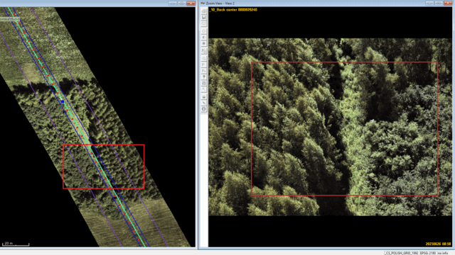 A view from a drone of the gas pipeline's technical strip running through the forest