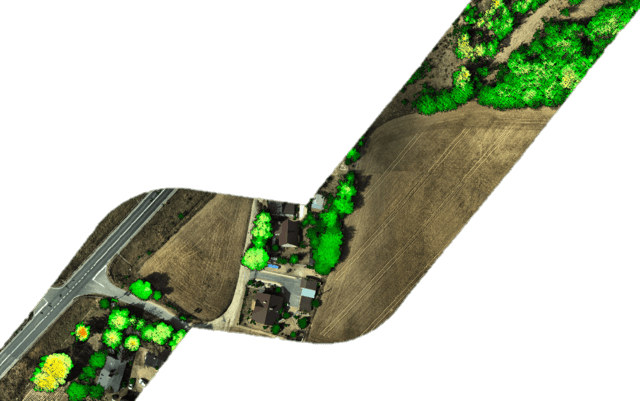 Raster vegetation map