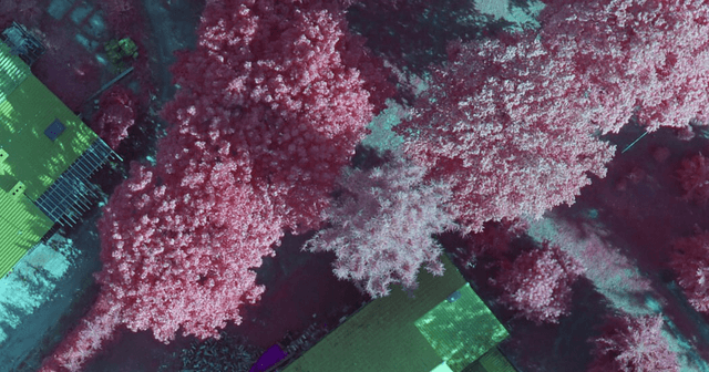 Vegetation condition analysis based on NIR sensor data