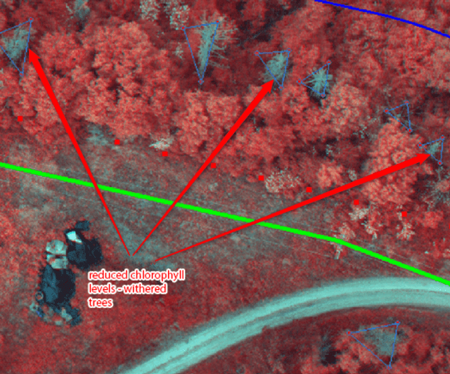 Vegetation condition analysis based on NIR sensor data with chlorophyll assessment
