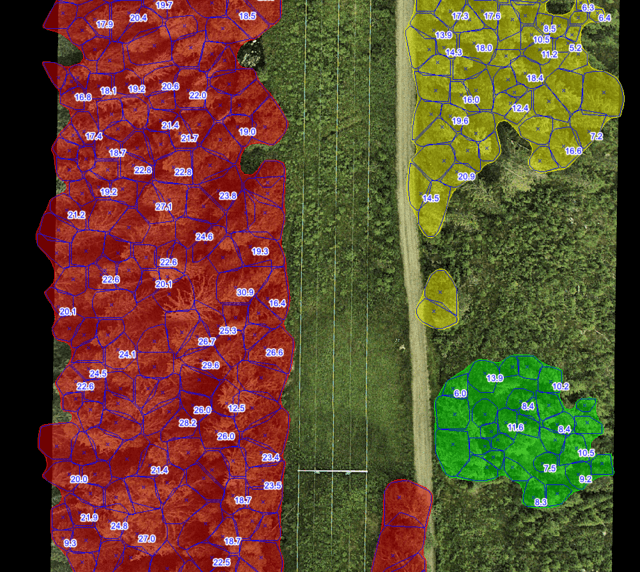 Map of trees in the power line protection zone with height classification