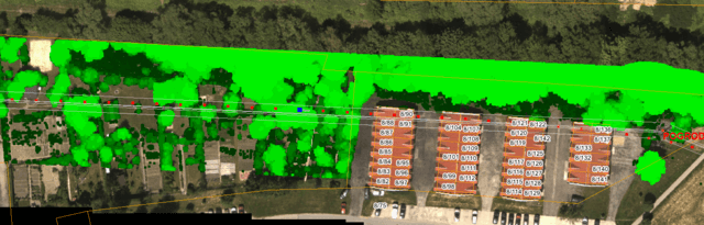 Vegetation maps in the protection band of the line