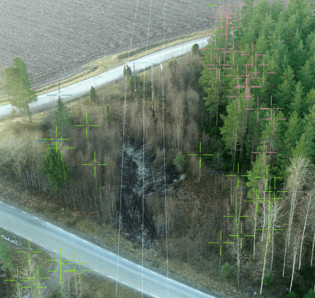 Object analysis of vegetation in the vicinity of the line - dangerous trees