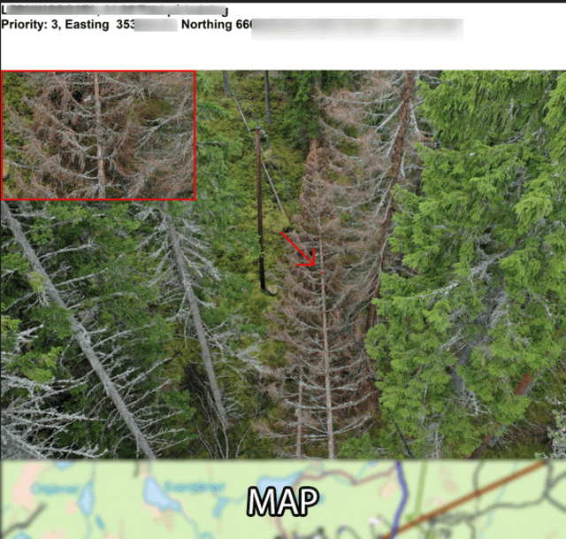 Power line inspections, conductor passing through tree crown