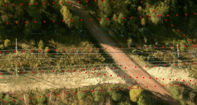 Orthophotomap in the protective band of the line