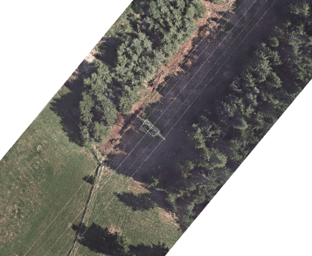 Orthophotomap in the power line protection zone near vegetation