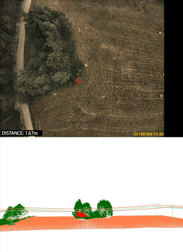Reports - indication of vegetation for removal on photos and point cloud
