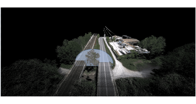 Wykrywanie martwych i zagrażających drzew w pobliżu infrastruktury drogowej i kolejowej