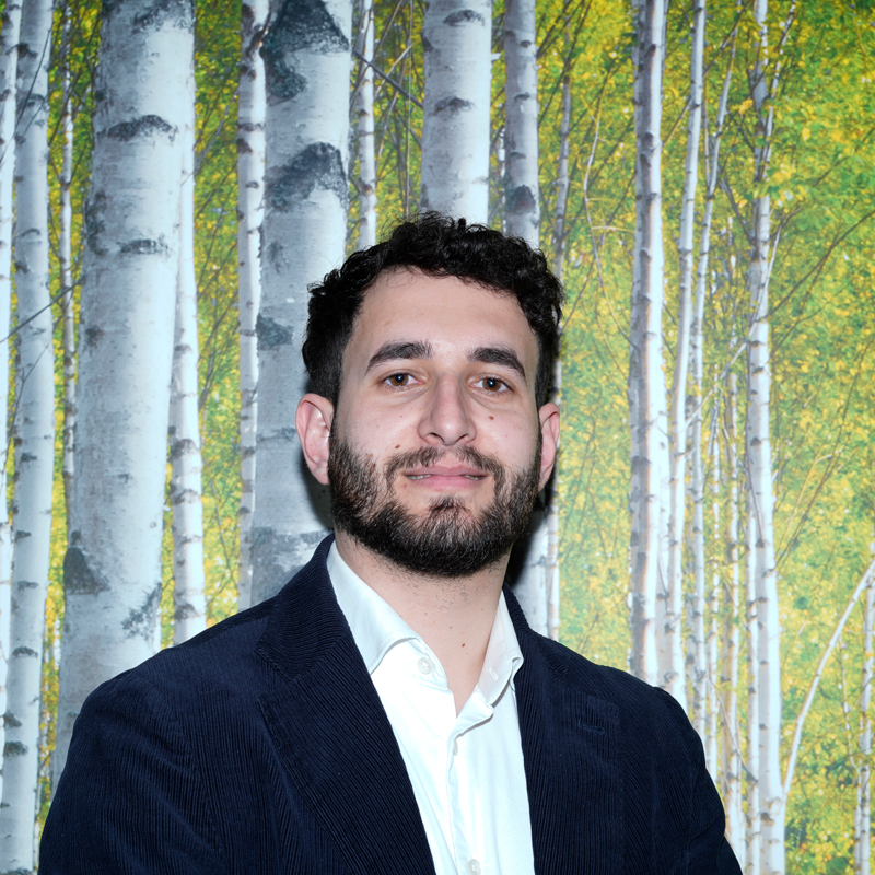 Dario Marcucci