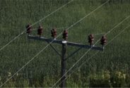 Close-up of a wooden single-pole utility pole with electrical insulators and wiring